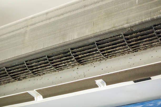 Best Home Air Vent Cleaning  in Clay, CA